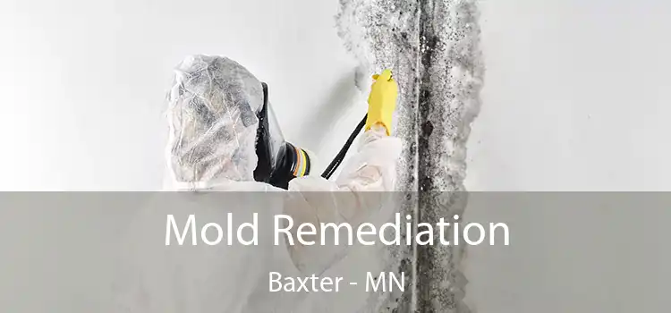 Mold Remediation Baxter - MN