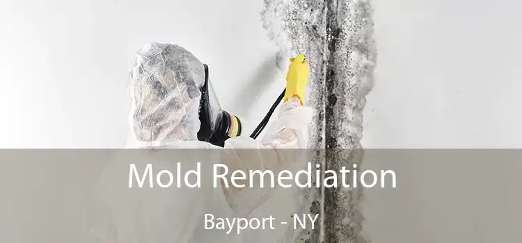 Mold Remediation Bayport - NY