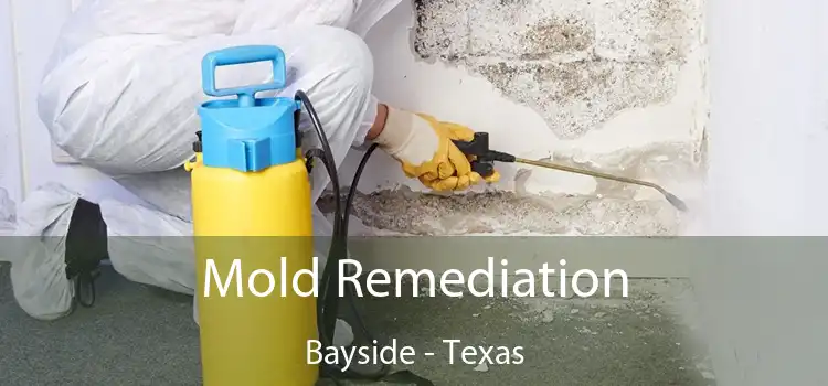 Mold Remediation Bayside - Texas