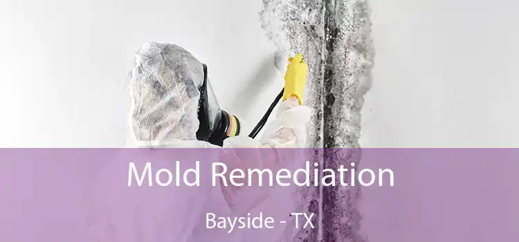 Mold Remediation Bayside - TX