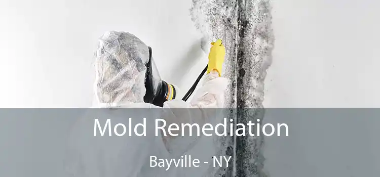 Mold Remediation Bayville - NY