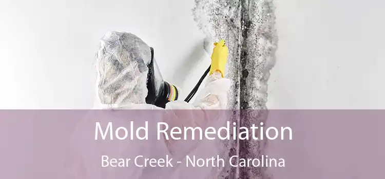 Mold Remediation Bear Creek - North Carolina