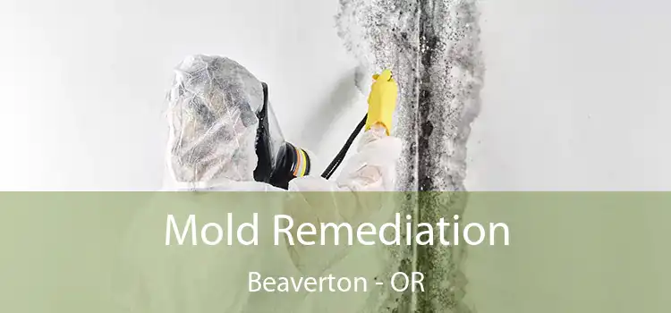 Mold Remediation Beaverton - OR