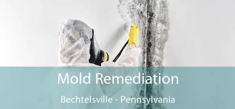 Mold Remediation Bechtelsville - Pennsylvania