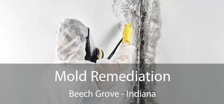 Mold Remediation Beech Grove - Indiana