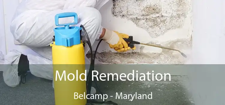 Mold Remediation Belcamp - Maryland