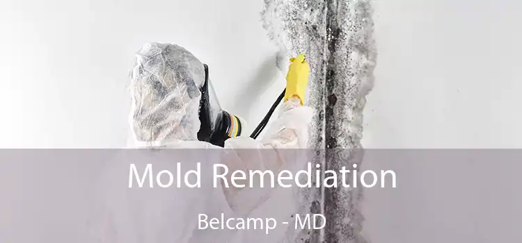 Mold Remediation Belcamp - MD