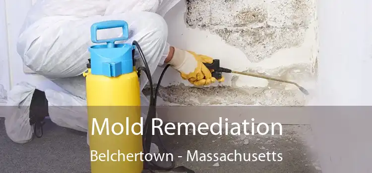 Mold Remediation Belchertown - Massachusetts