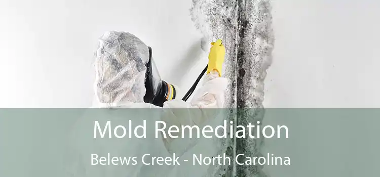 Mold Remediation Belews Creek - North Carolina