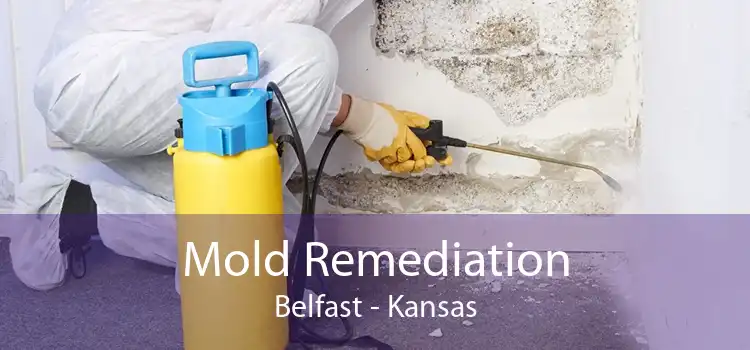 Mold Remediation Belfast - Kansas
