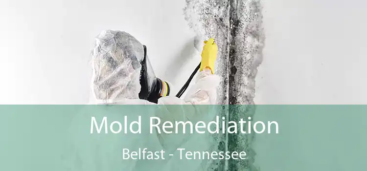 Mold Remediation Belfast - Tennessee