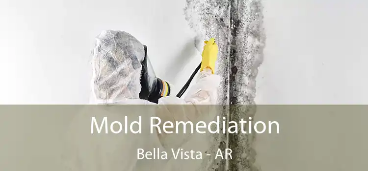 Mold Remediation Bella Vista - AR