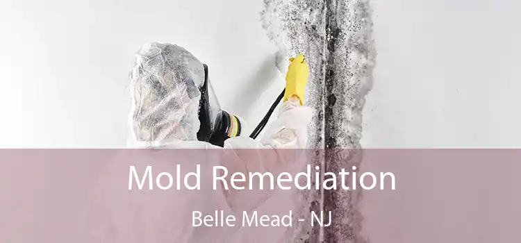 Mold Remediation Belle Mead - NJ