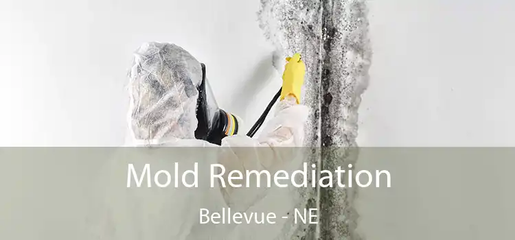 Mold Remediation Bellevue - NE