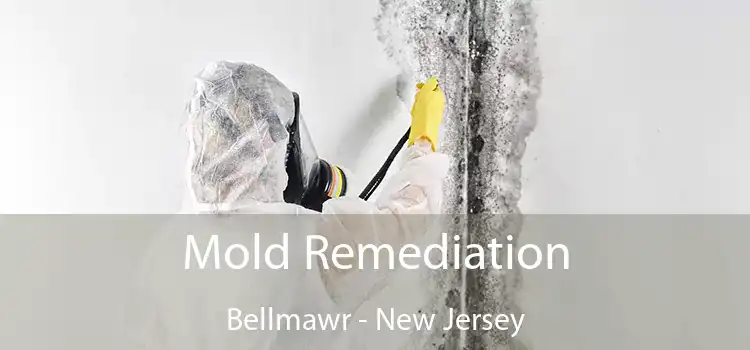 Mold Remediation Bellmawr - New Jersey