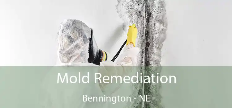 Mold Remediation Bennington - NE