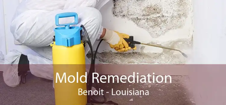 Mold Remediation Benoit - Louisiana
