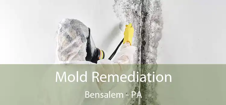 Mold Remediation Bensalem - PA