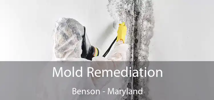 Mold Remediation Benson - Maryland