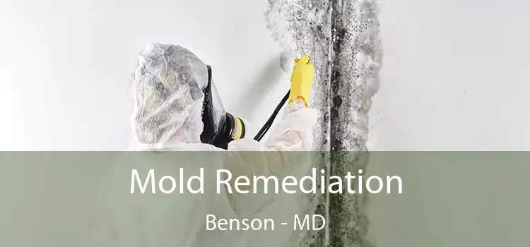 Mold Remediation Benson - MD