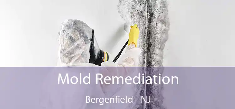 Mold Remediation Bergenfield - NJ