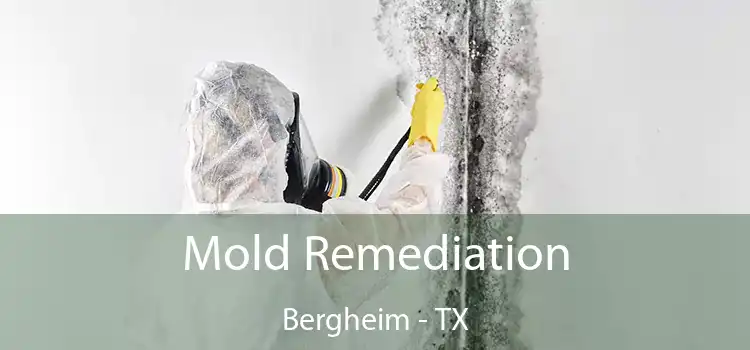 Mold Remediation Bergheim - TX