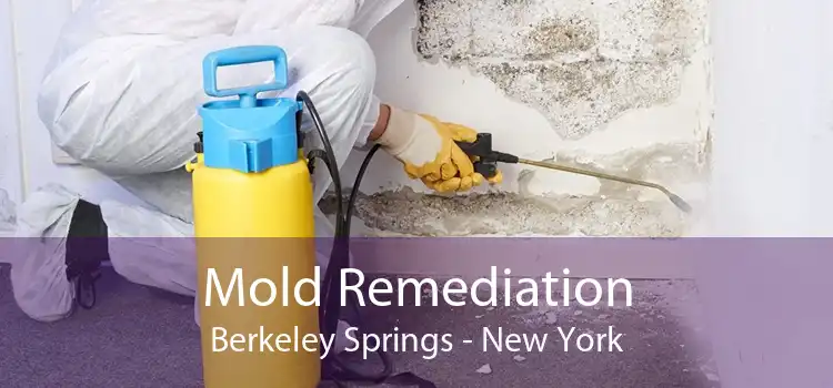 Mold Remediation Berkeley Springs - New York