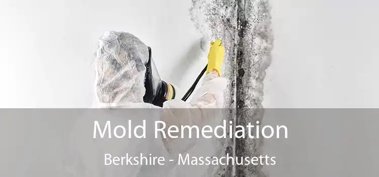 Mold Remediation Berkshire - Massachusetts