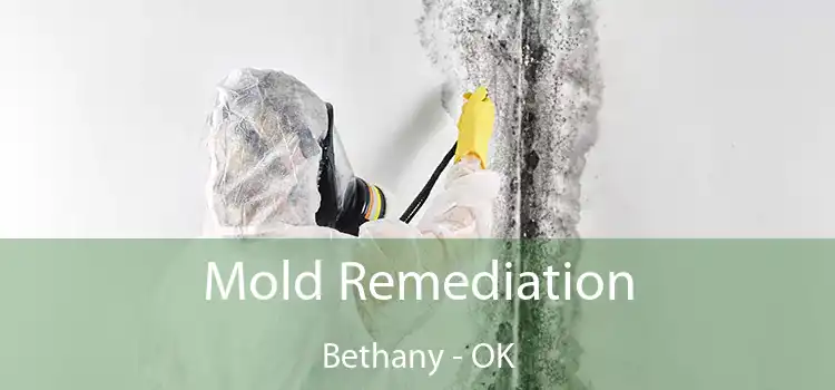 Mold Remediation Bethany - OK