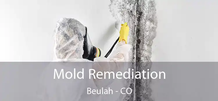 Mold Remediation Beulah - CO