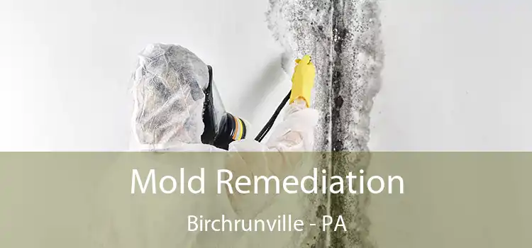 Mold Remediation Birchrunville - PA