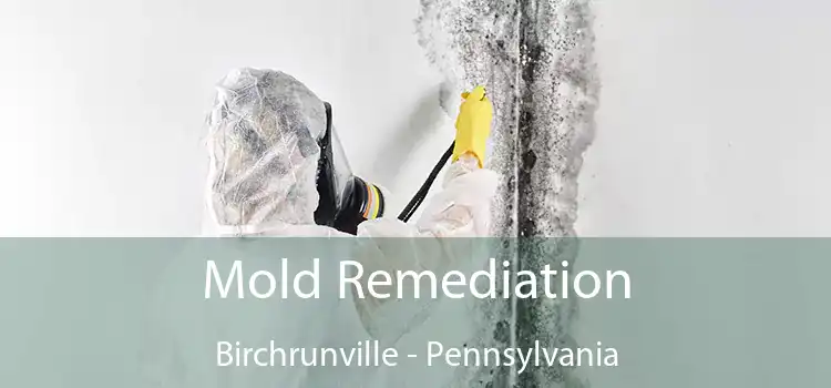 Mold Remediation Birchrunville - Pennsylvania