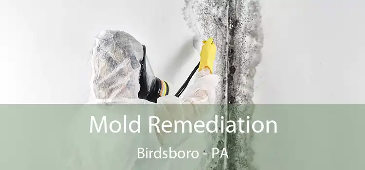 Mold Remediation Birdsboro - PA