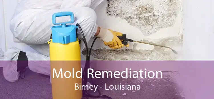 Mold Remediation Birney - Louisiana