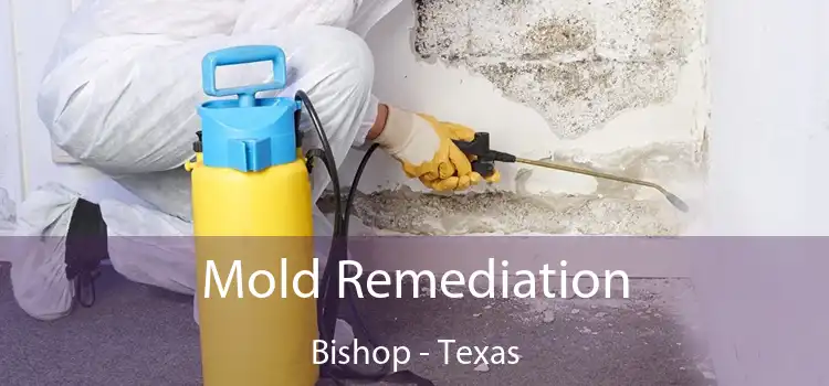 Mold Remediation Bishop - Texas