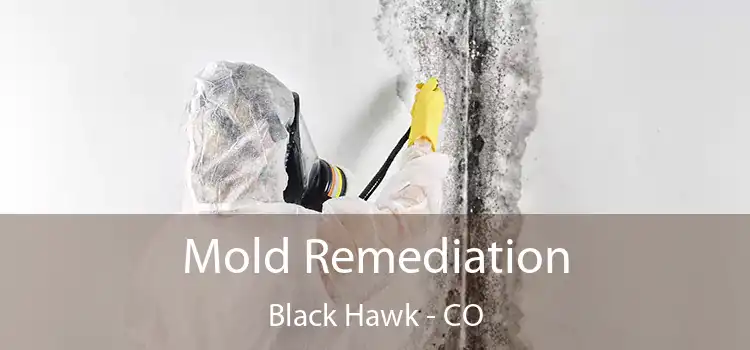 Mold Remediation Black Hawk - CO