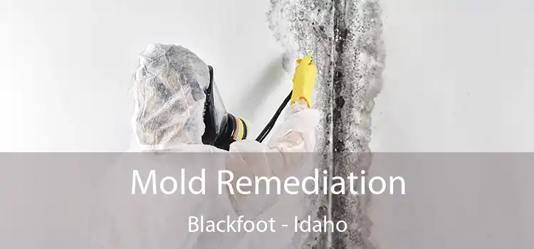 Mold Remediation Blackfoot - Idaho