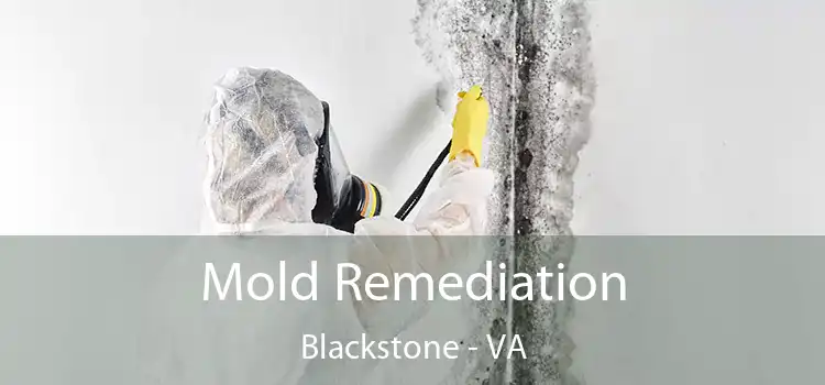 Mold Remediation Blackstone - VA