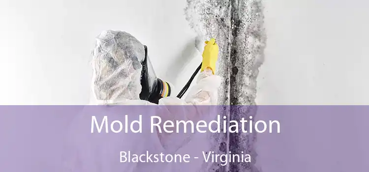 Mold Remediation Blackstone - Virginia