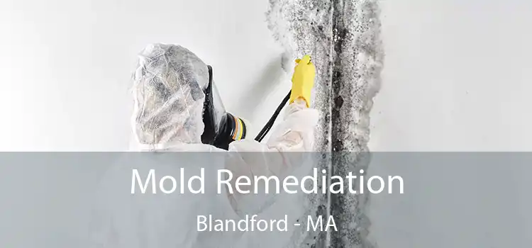 Mold Remediation Blandford - MA