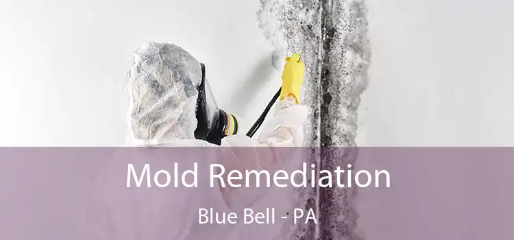 Mold Remediation Blue Bell - PA