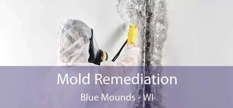 Mold Remediation Blue Mounds - WI