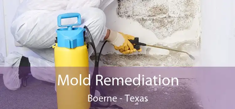 Mold Remediation Boerne - Texas