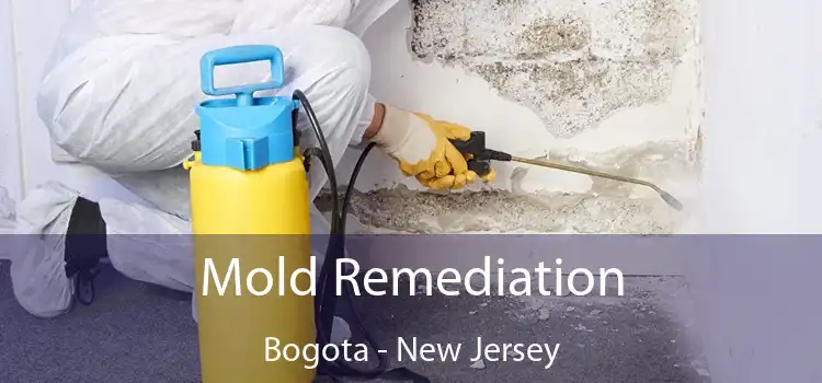 Mold Remediation Bogota - New Jersey