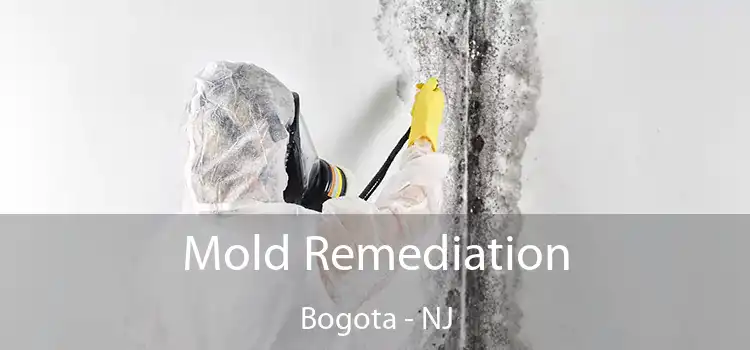 Mold Remediation Bogota - NJ