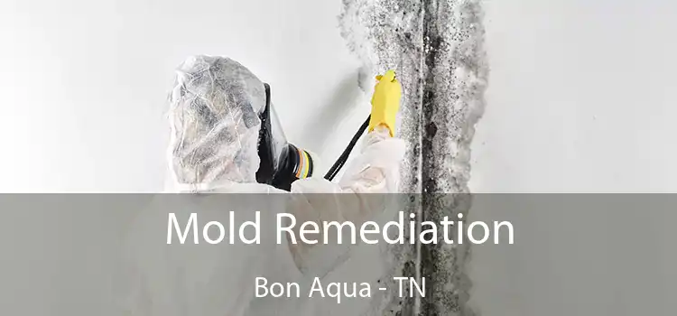 Mold Remediation Bon Aqua - TN