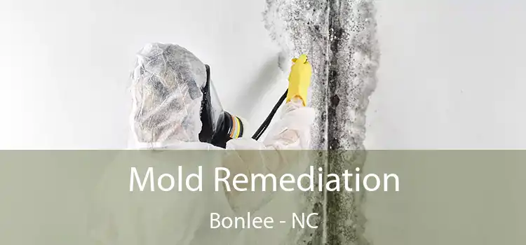 Mold Remediation Bonlee - NC