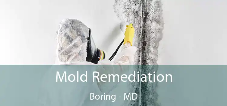 Mold Remediation Boring - MD