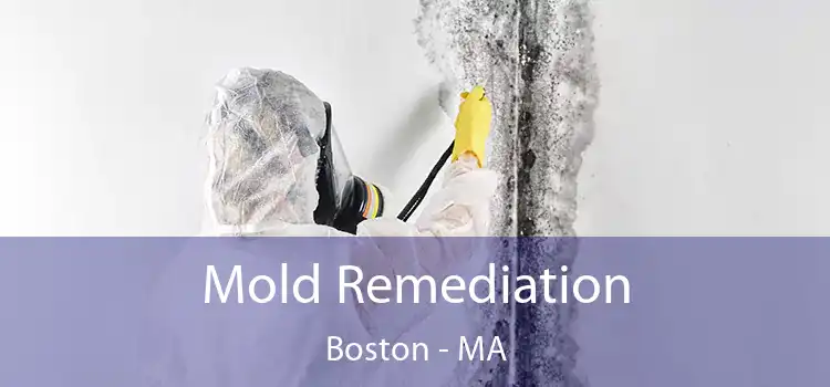 Mold Remediation Boston - MA