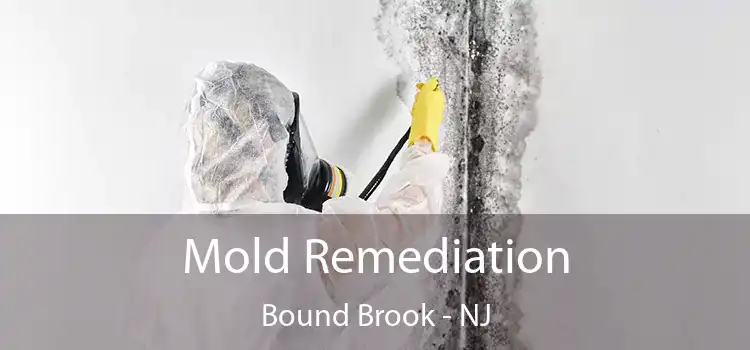 Mold Remediation Bound Brook - NJ